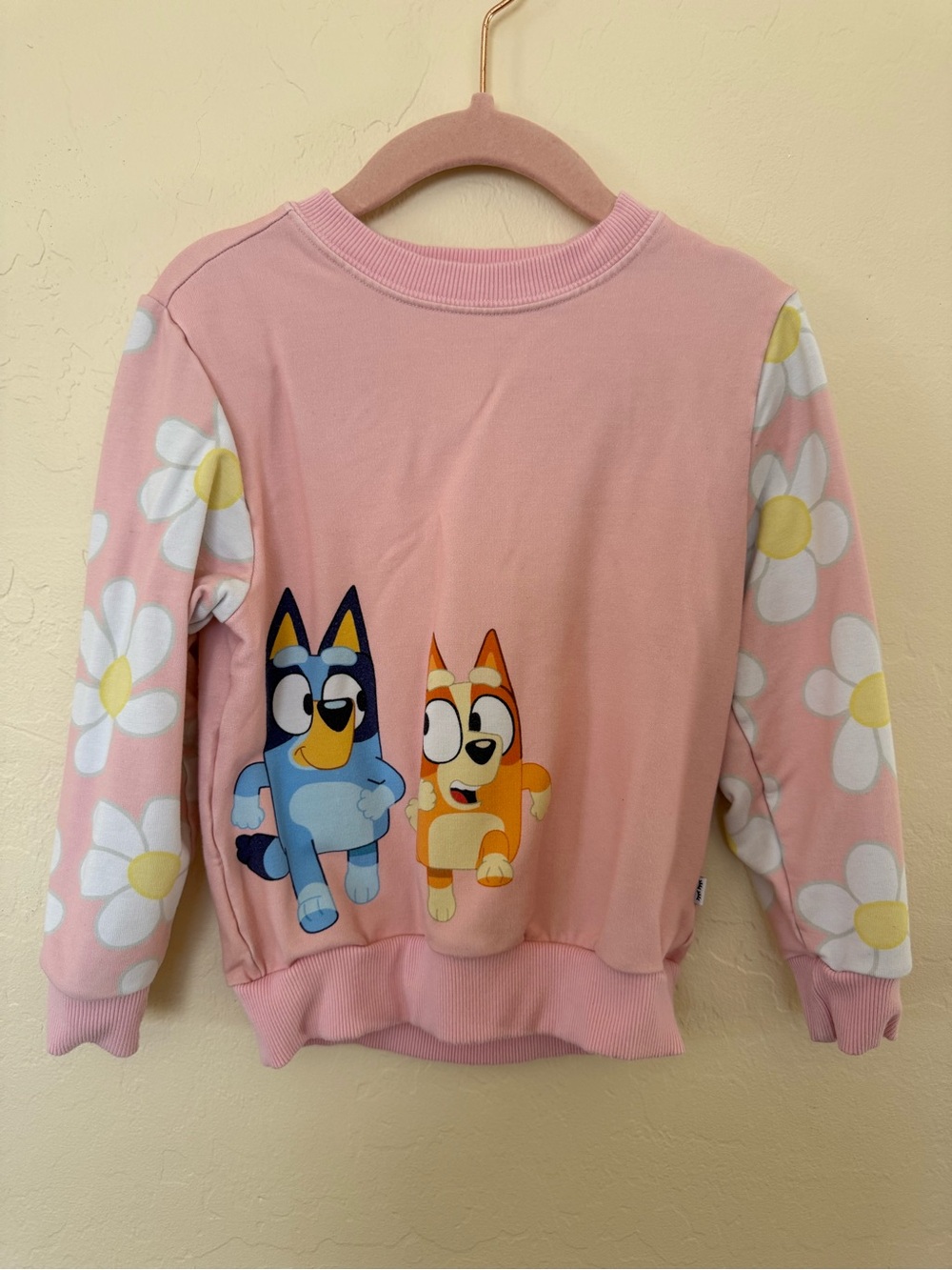 Little Sleepies Bluey Sweatshirt (3T)